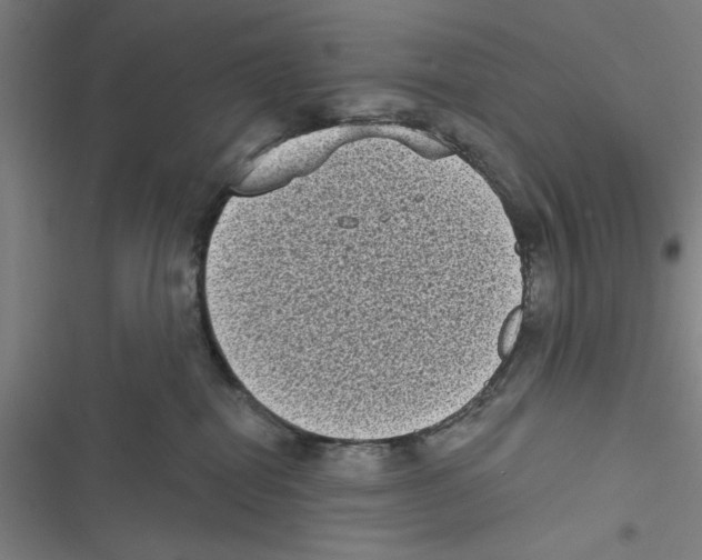 X0000116770282201001141457