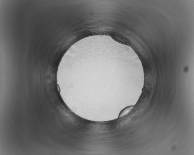 X0000116770284201001141457