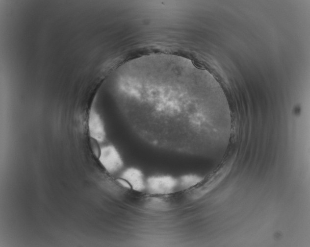 X0000116770285201001141457