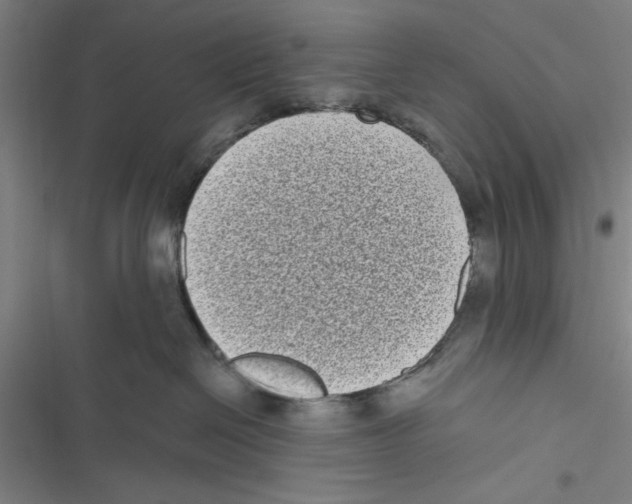 X0000116770286201001141457