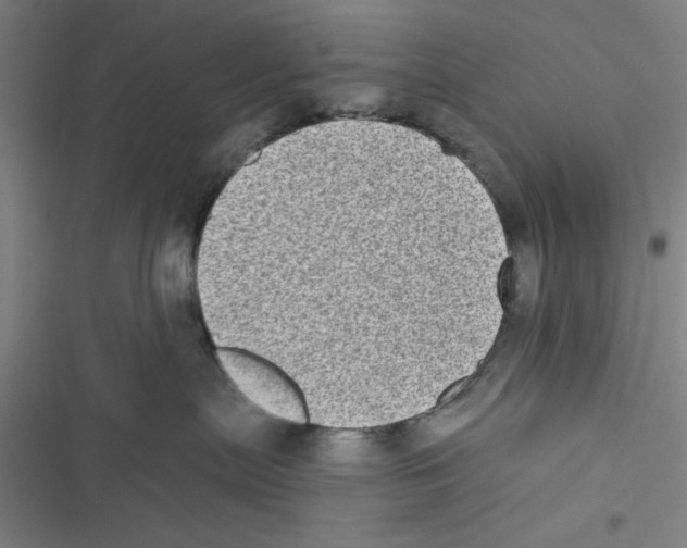X0000116770287201001141457