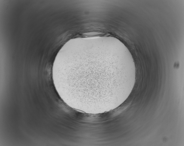 X0000116770288201001141457