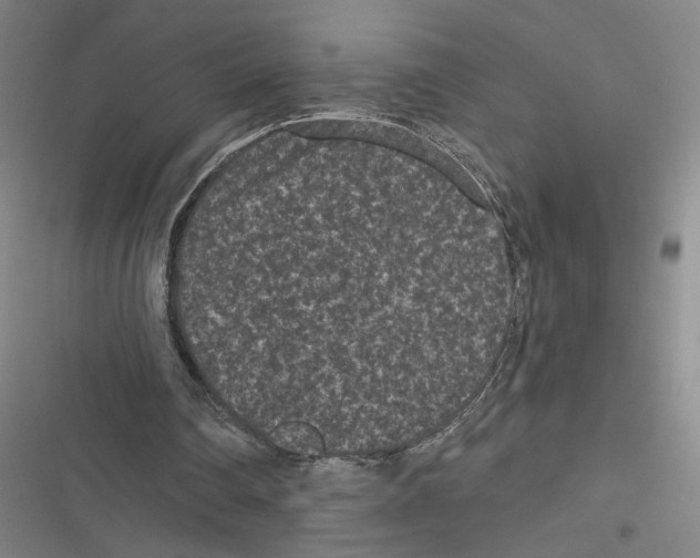 X0000116770290201001141456