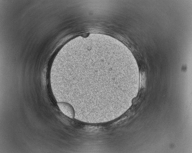 X0000116770291201001141456