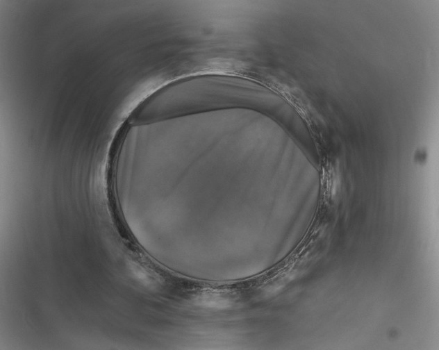X0000116770292201001141456