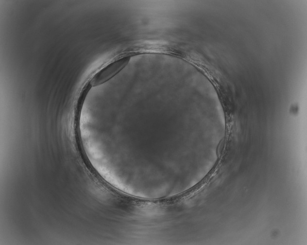 X0000116770293201001141456