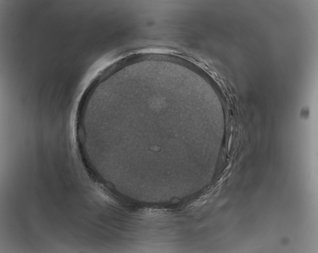 X0000116770296201001141456