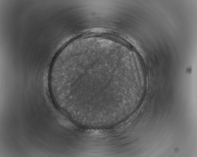 X0000116770297201001141456