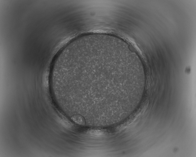 X0000116770299201001141456