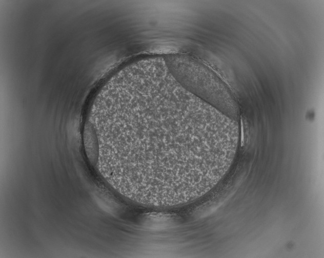 X0000116770300201001141456