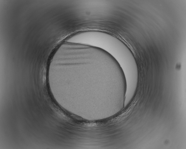 X0000116770301201001141456