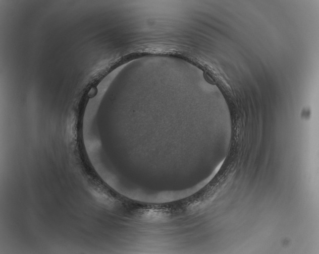 X0000116770303201001141456