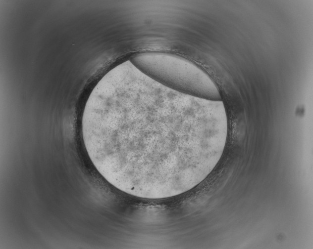 X0000116770304201001141456
