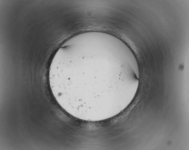 X0000116770305201001141456