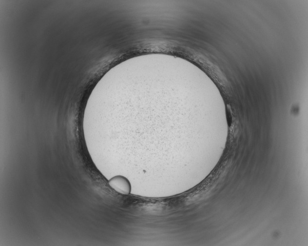 X0000116770306201001141456