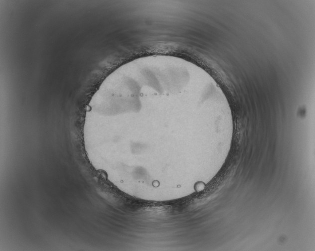 X0000116770307201001141456