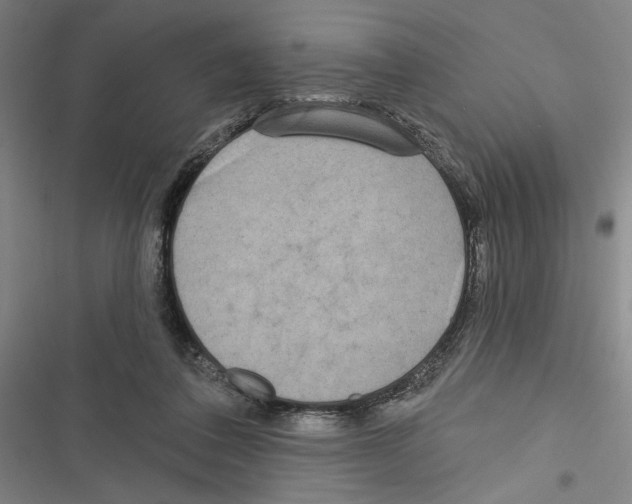 X0000116770308201001141456