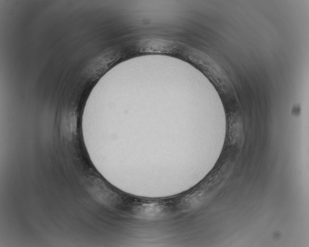 X0000116770310201001141456