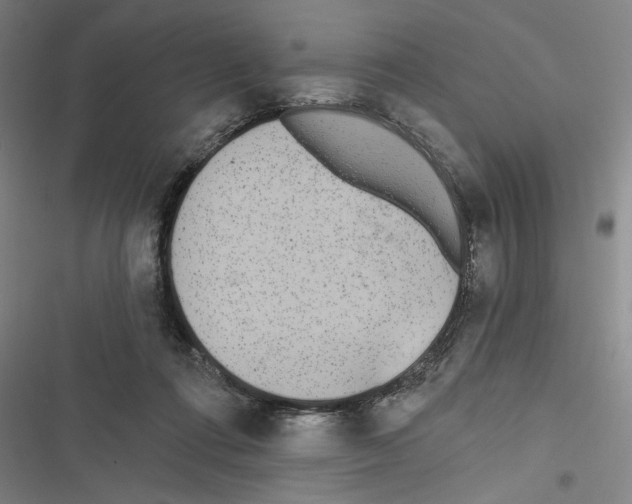 X0000116770312201001141456