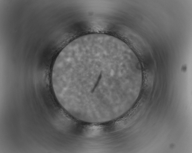 X0000116770313201001141456