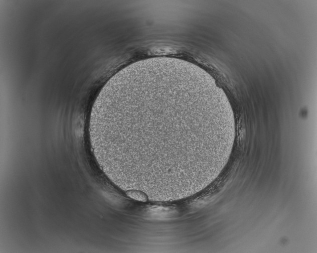 X0000116770315201001141456