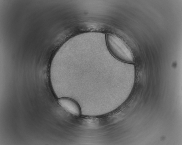 X0000116770317201001141456