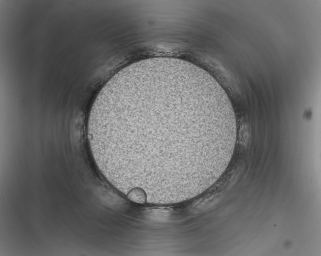 X0000116770318201001141456
