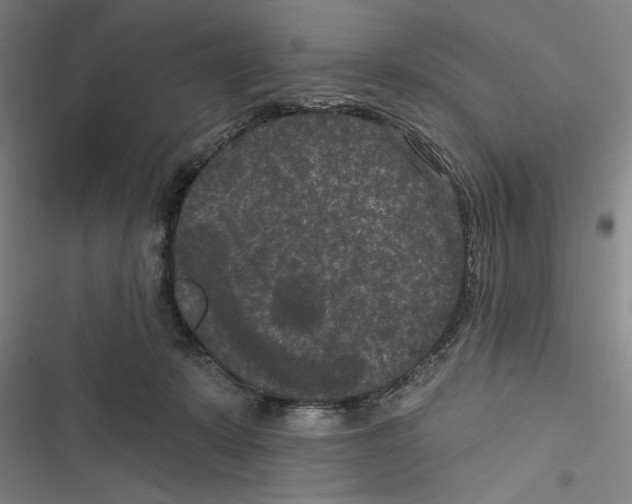 X0000116770319201001141456