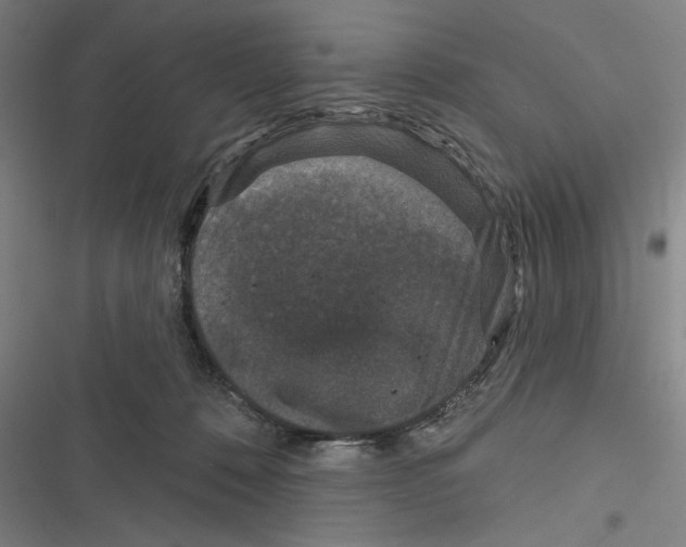 X0000116770320201001141456