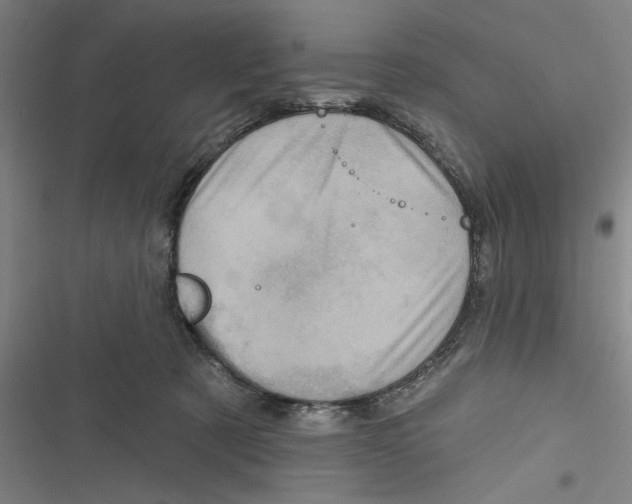 X0000116770321201001141456