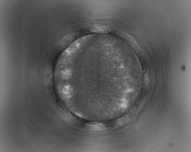 X0000116770322201001141456