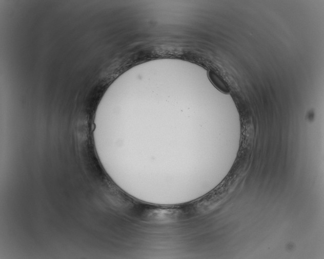 X0000116770323201001141456