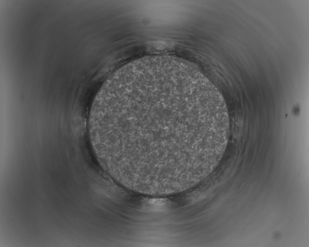 X0000116770324201001141456