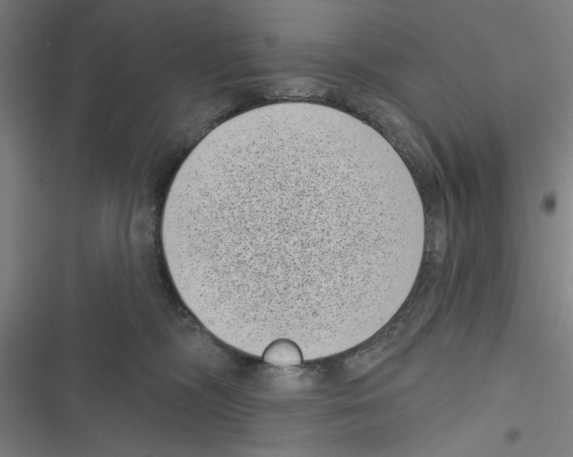 X0000116770326201001141456