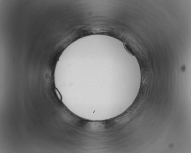 X0000116770327201001141456