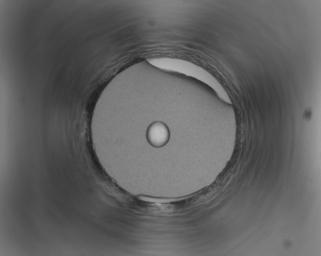 X0000116770328201001141456