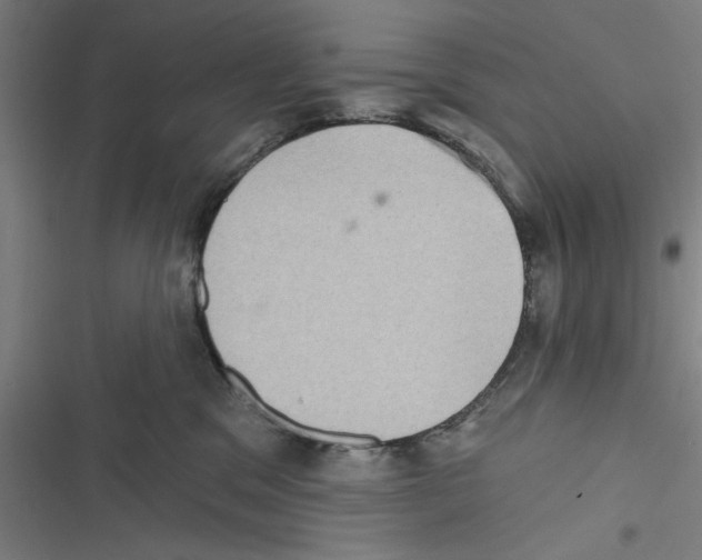 X0000116770329201001141456