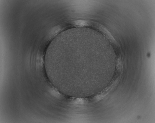 X0000116770330201001141456