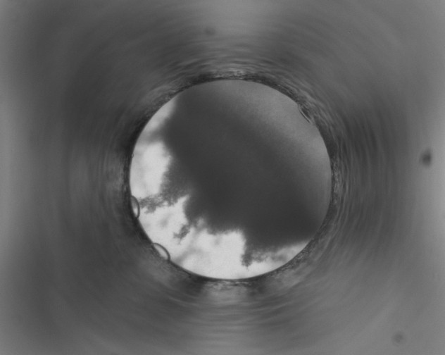 X0000116770331201001141456