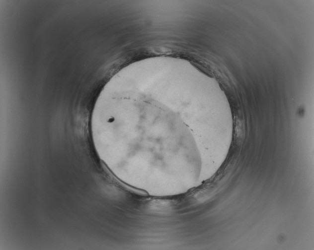 X0000116770332201001141456
