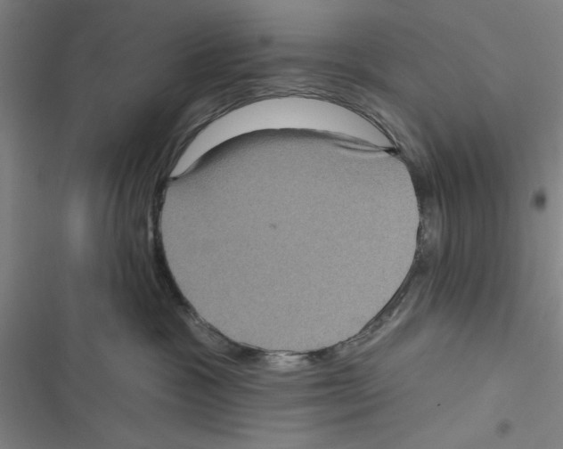 X0000116770333201001141456