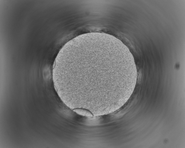 X0000116770335201001141456