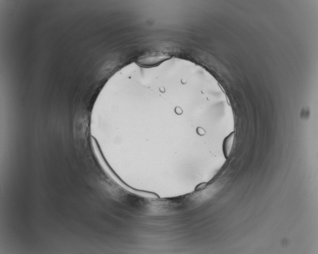 X0000116770336201001141456
