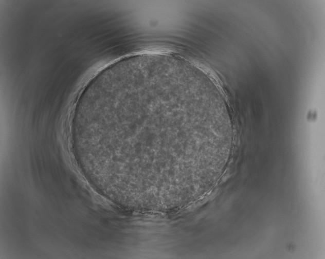 X0000116770337201001141455