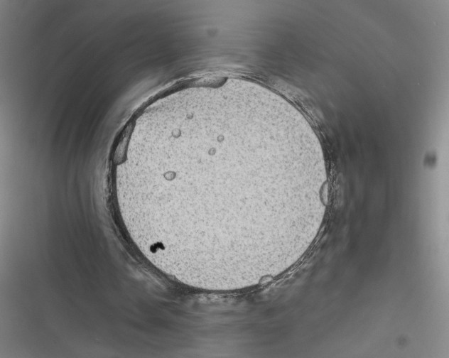 X0000116770338201001141455
