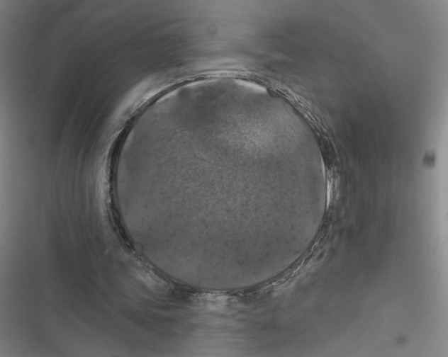X0000116770339201001141455