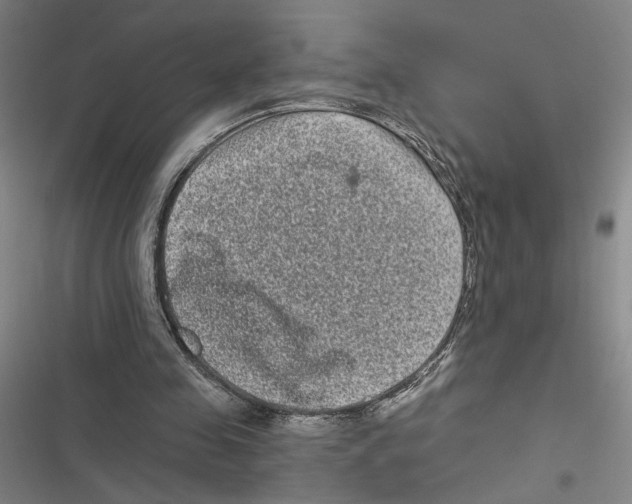 X0000116770341201001141455