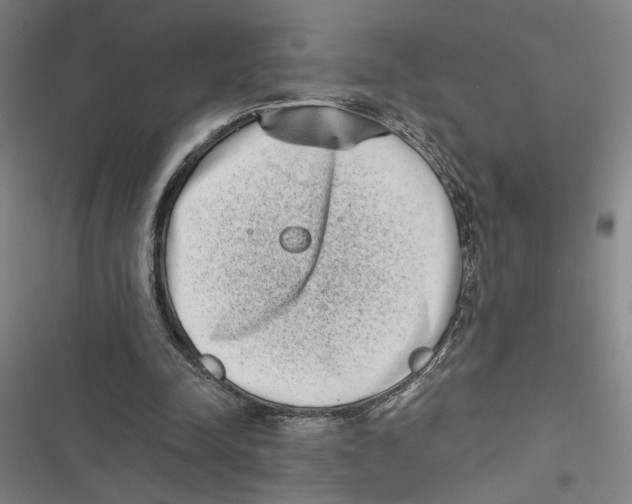 X0000116770342201001141455