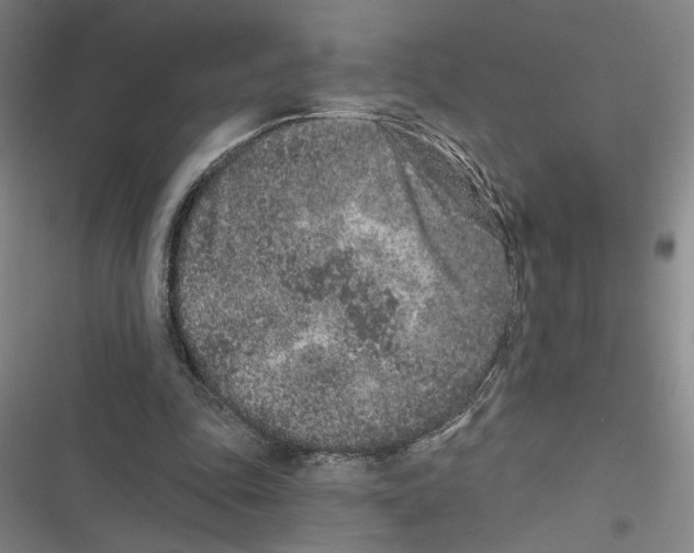 X0000116770343201001141455