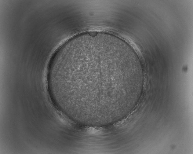 X0000116770346201001141455